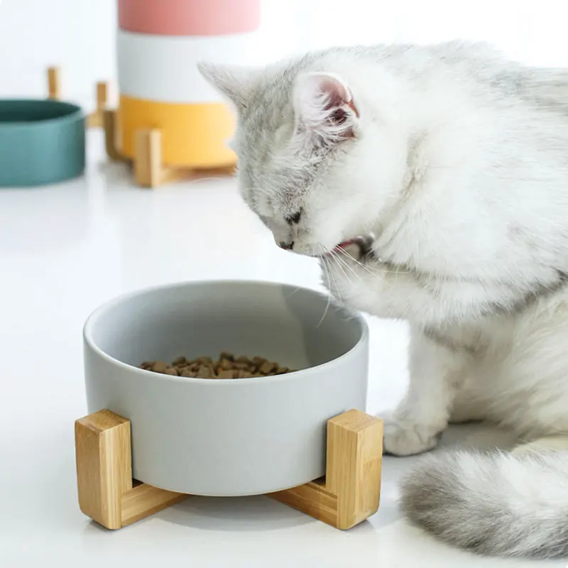 Керамическая миска для кошек Миска для корма для домашних животных Изысканный простой контейнер для питьевой воды для собак Деревянная рама Защитная шея Товары для домашних животных